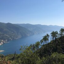 Mediterranean to Caribbean 